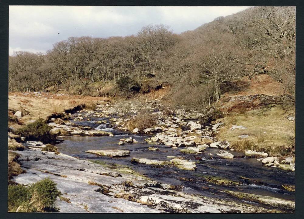 An image from the Dartmoor Trust Archive