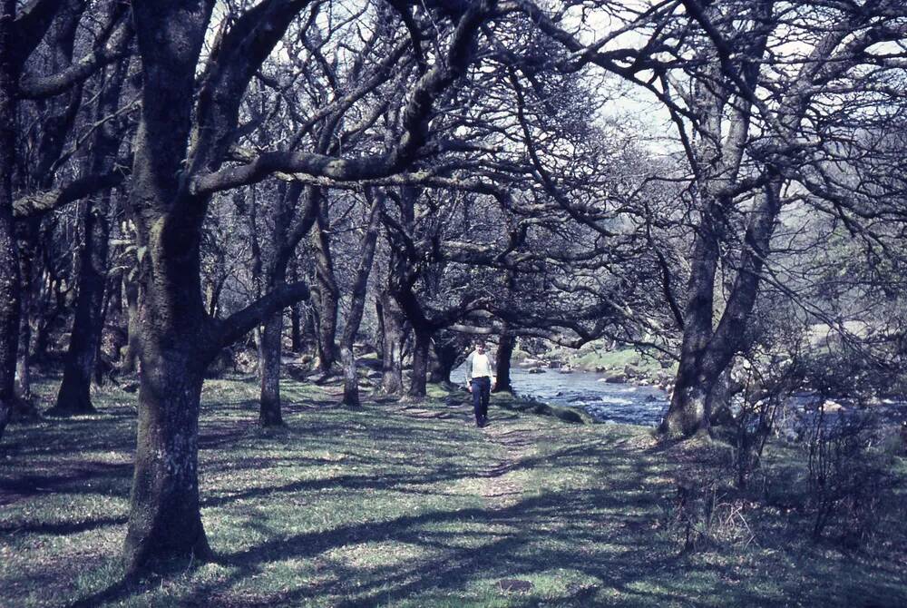 An image from the Dartmoor Trust Archive