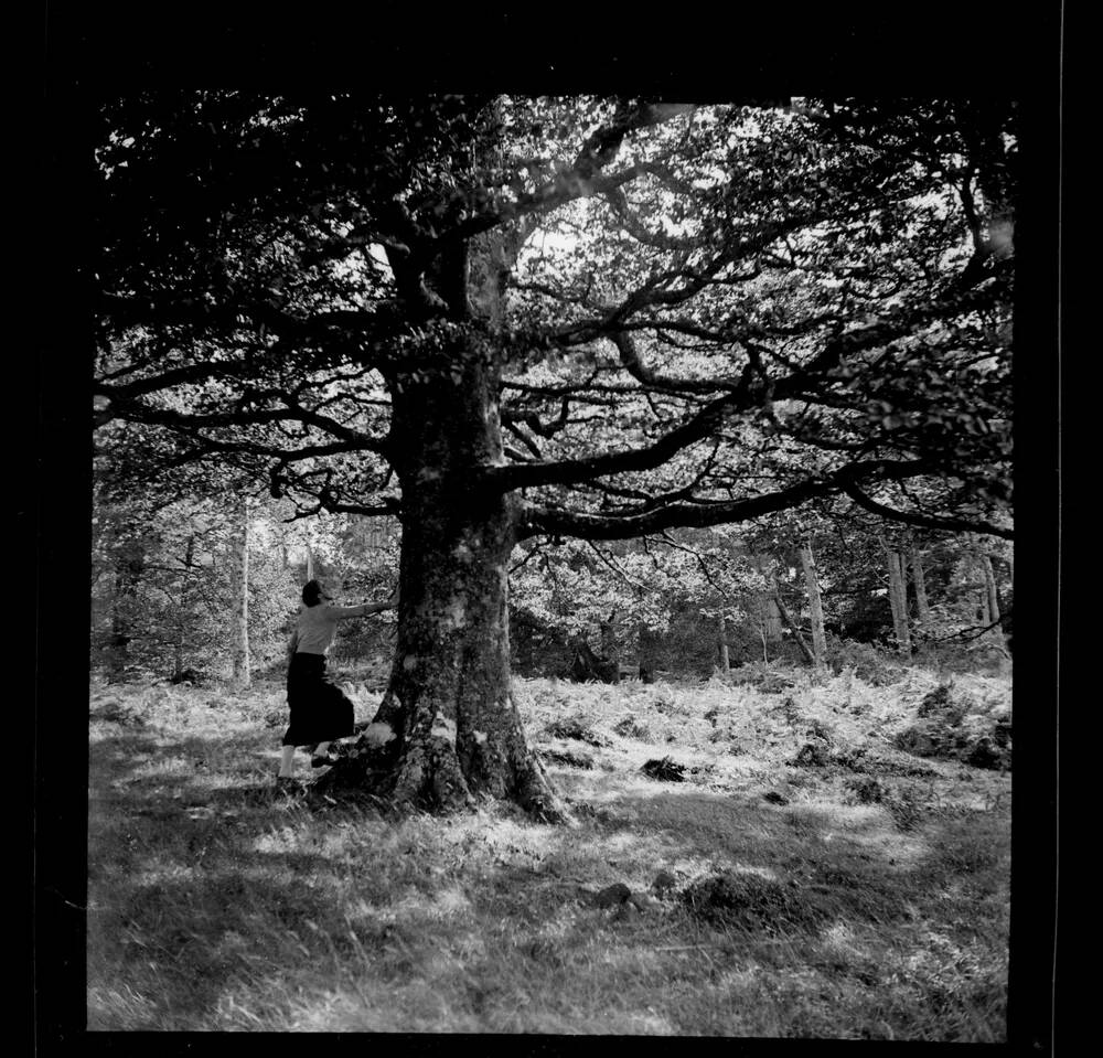 An image from the Dartmoor Trust Archive