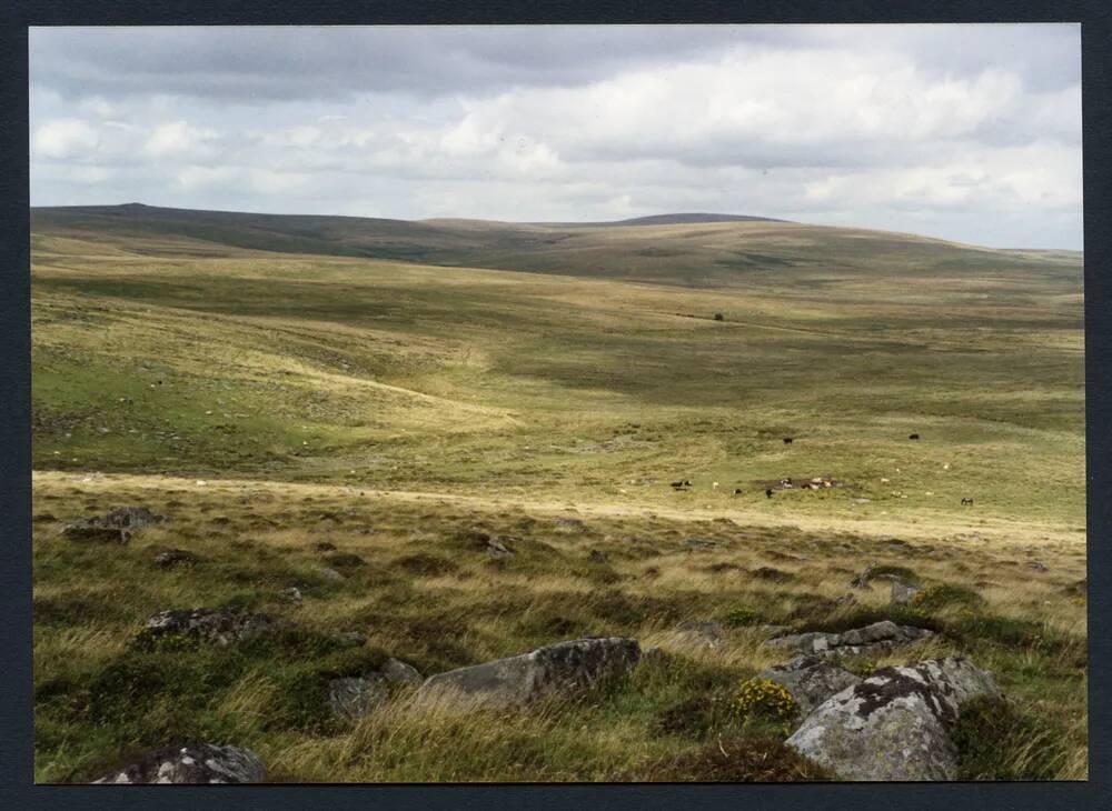 An image from the Dartmoor Trust Archive