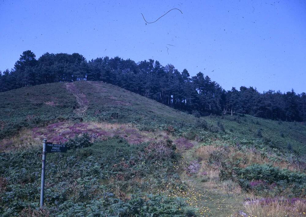 An image from the Dartmoor Trust Archive