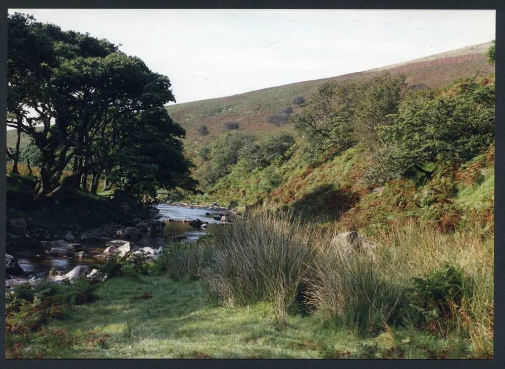 An image from the Dartmoor Trust Archive