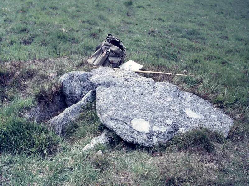 An image from the Dartmoor Trust Archive