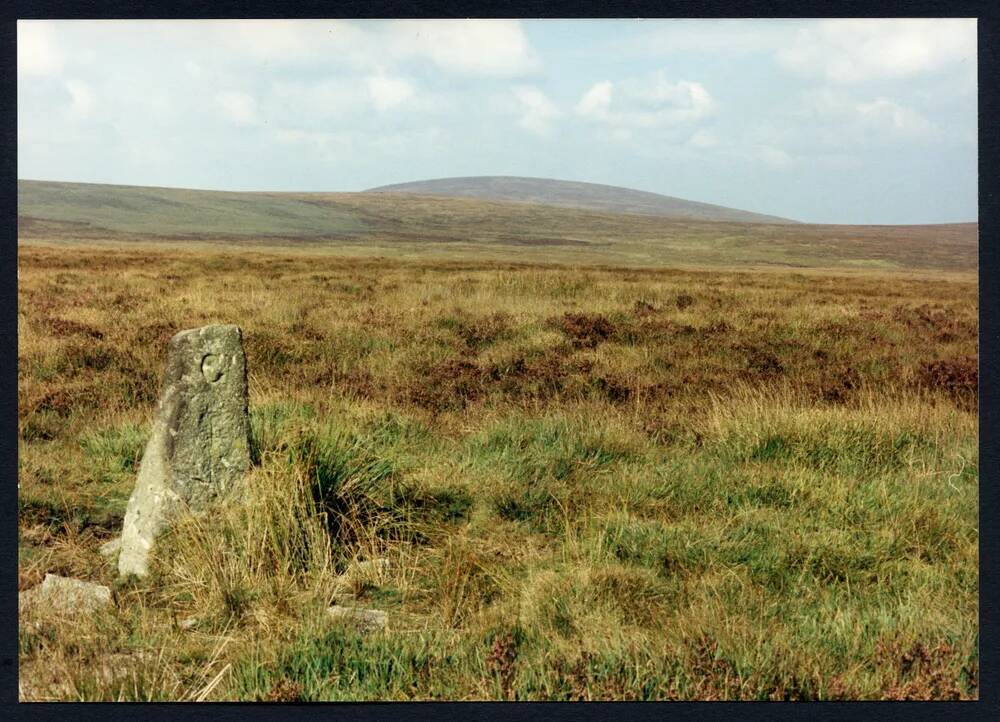 An image from the Dartmoor Trust Archive