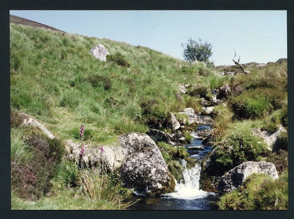 An image from the Dartmoor Trust Archive