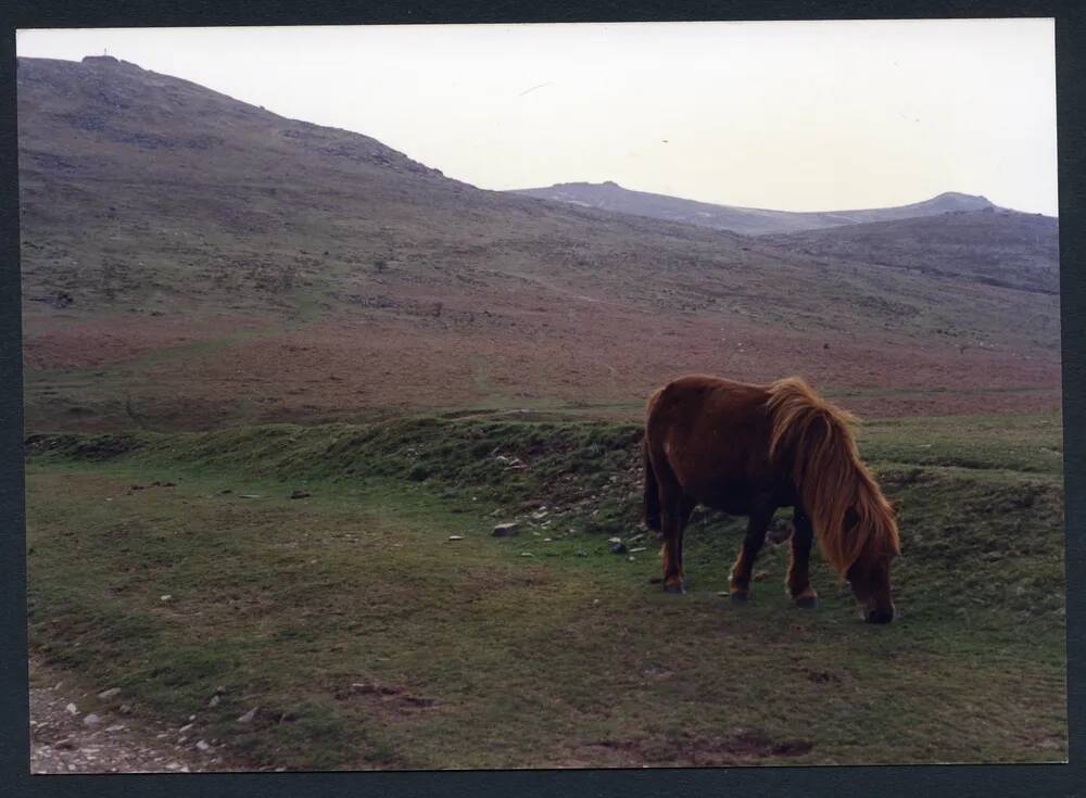 An image from the Dartmoor Trust Archive