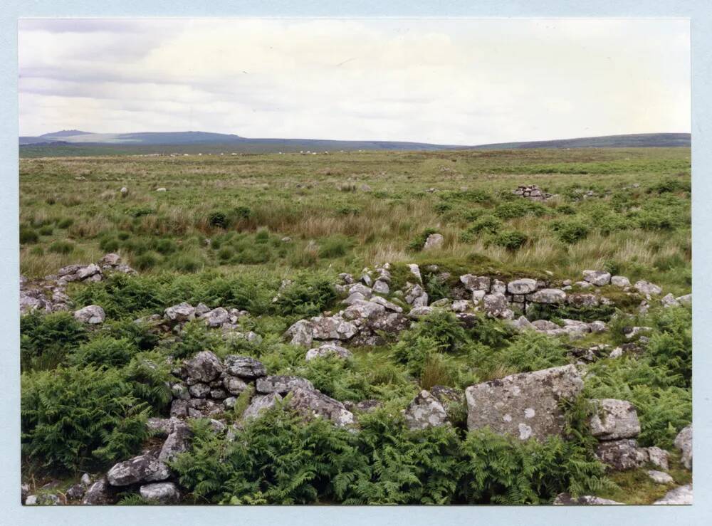 An image from the Dartmoor Trust Archive