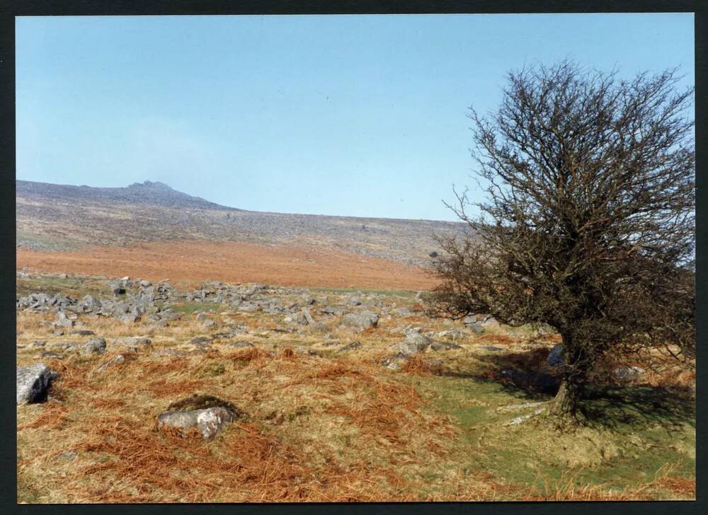 An image from the Dartmoor Trust Archive