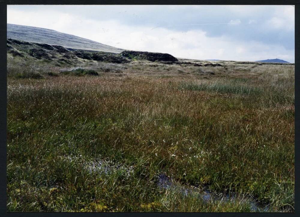 An image from the Dartmoor Trust Archive