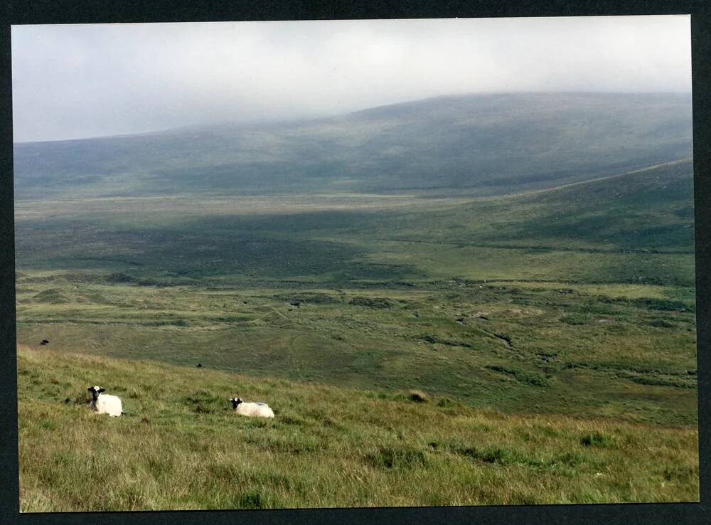 An image from the Dartmoor Trust Archive