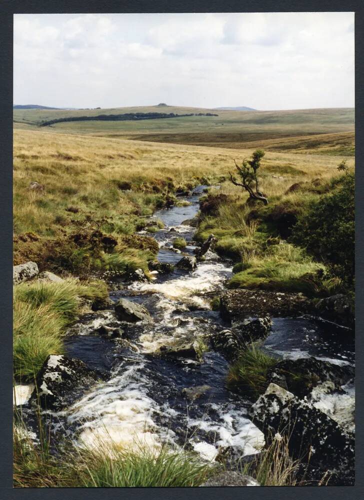 An image from the Dartmoor Trust Archive