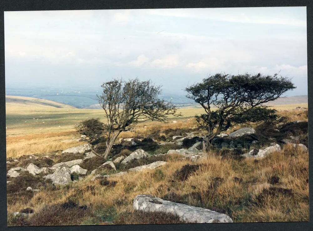 An image from the Dartmoor Trust Archive