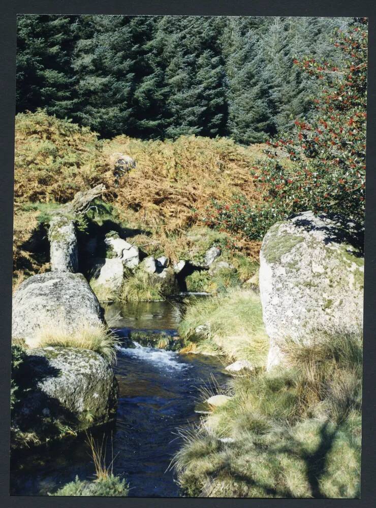 An image from the Dartmoor Trust Archive