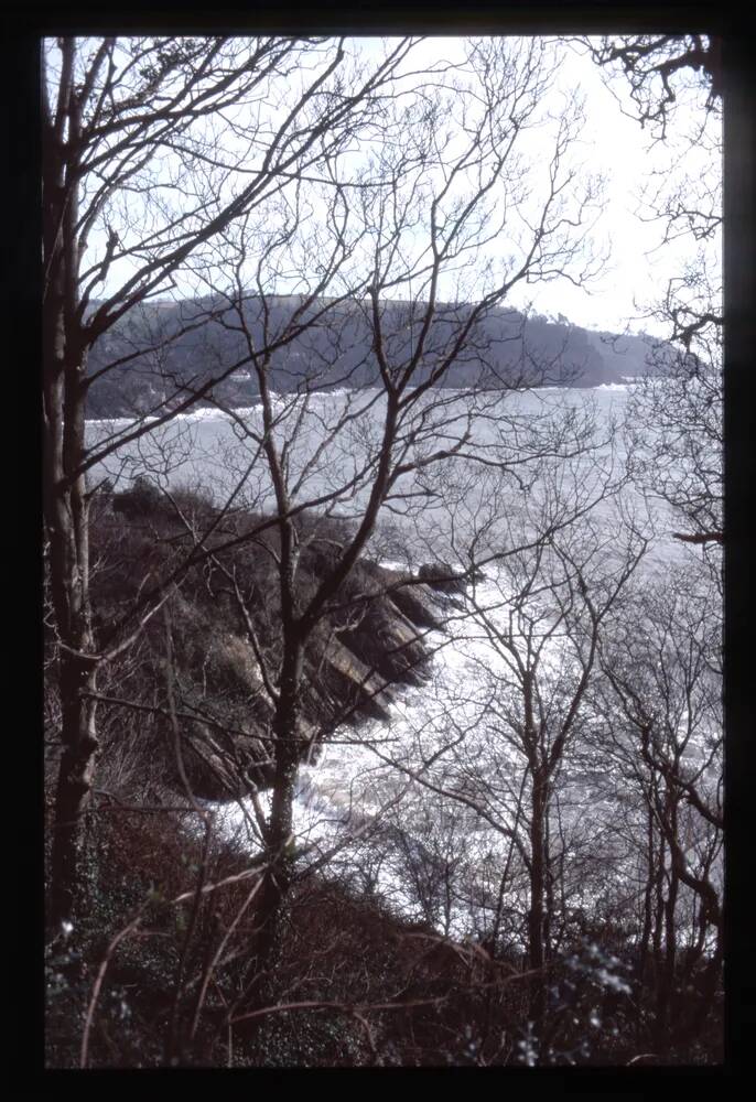 Frowood on the River Dart