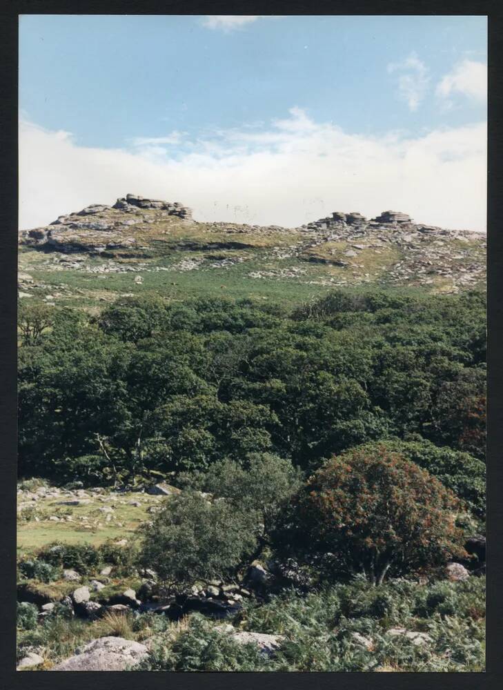 An image from the Dartmoor Trust Archive