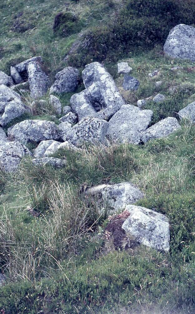 An image from the Dartmoor Trust Archive