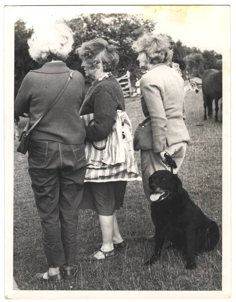 An image from the Dartmoor Trust Archive