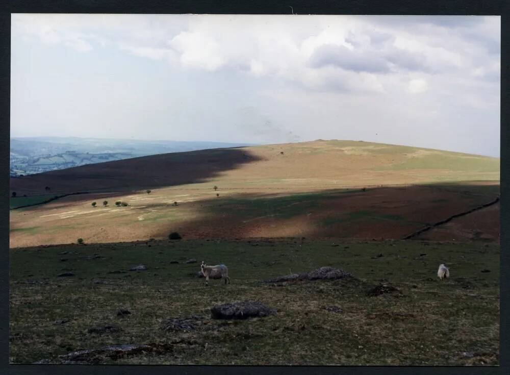 An image from the Dartmoor Trust Archive