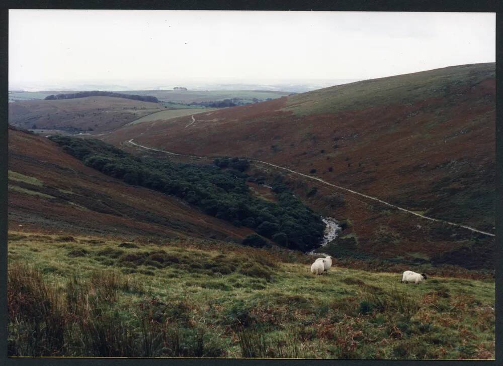 An image from the Dartmoor Trust Archive