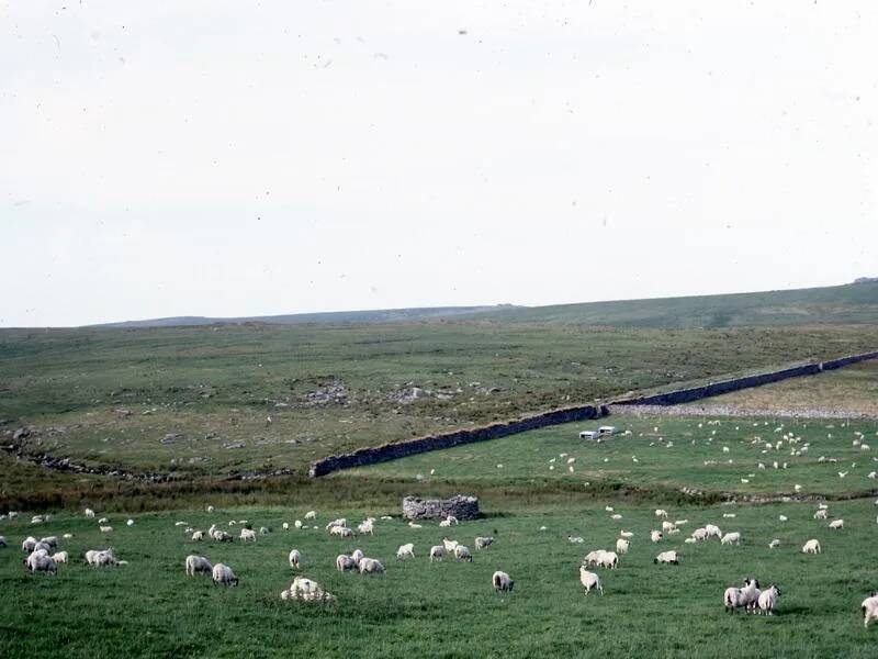 An image from the Dartmoor Trust Archive