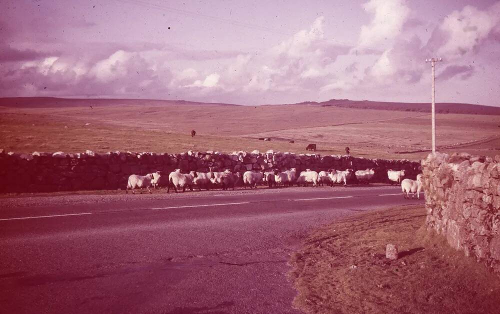 An image from the Dartmoor Trust Archive