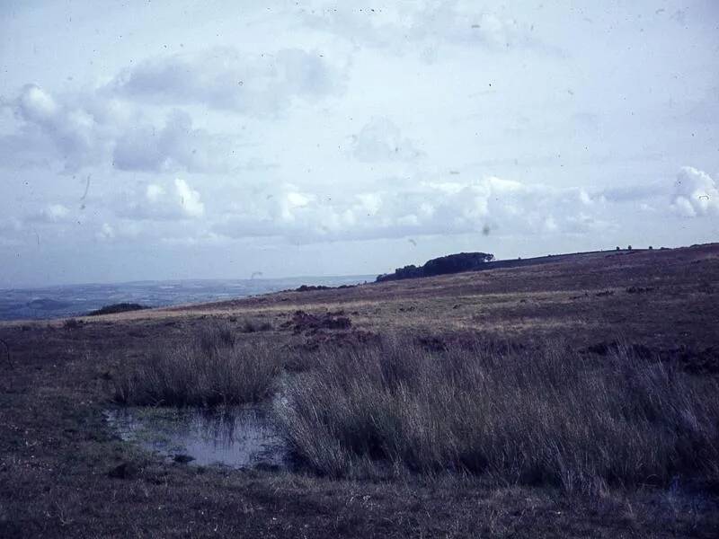 An image from the Dartmoor Trust Archive