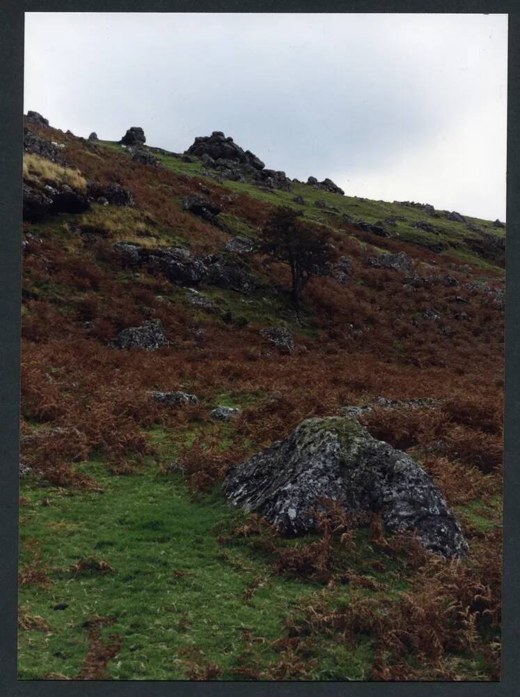 An image from the Dartmoor Trust Archive