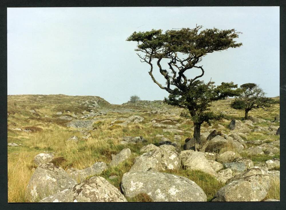 An image from the Dartmoor Trust Archive