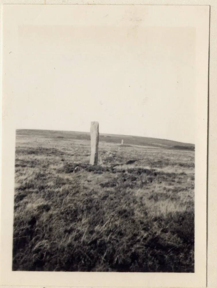 Menhirs on Drizzlecombe