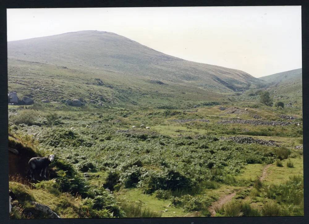 An image from the Dartmoor Trust Archive