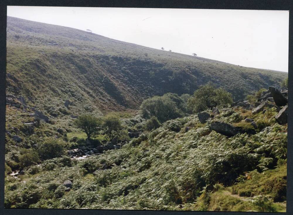 An image from the Dartmoor Trust Archive