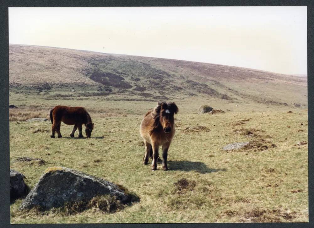 An image from the Dartmoor Trust Archive