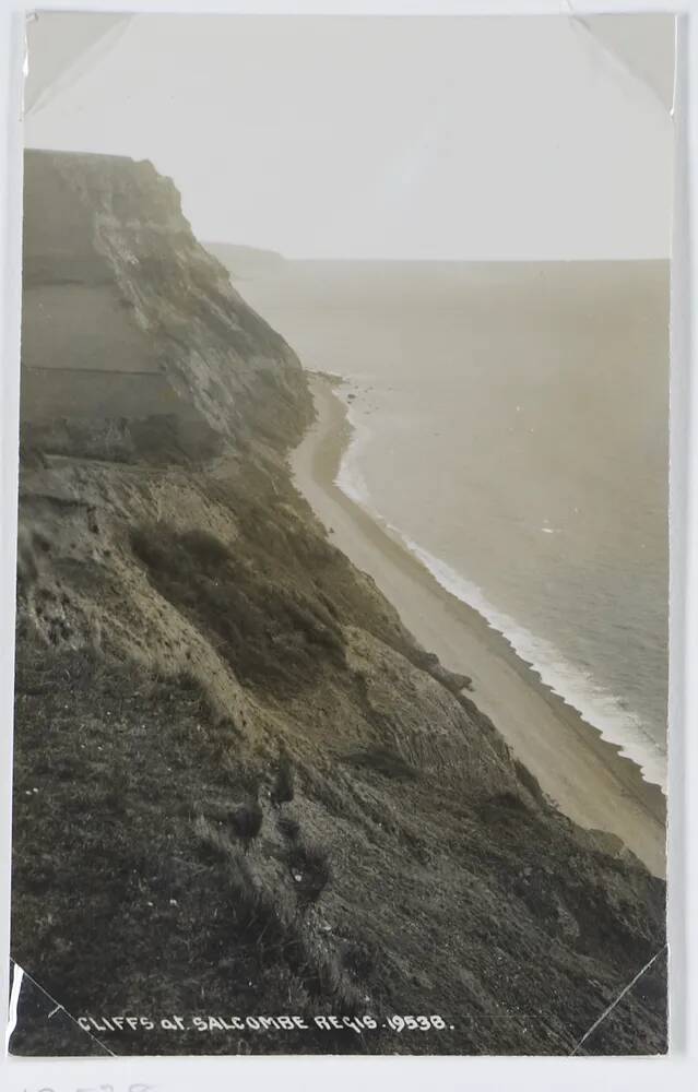 Cliffs at Salcombe Regis