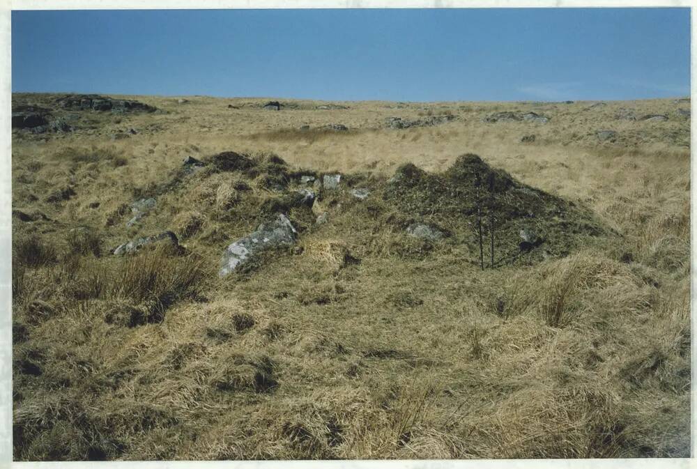 An image from the Dartmoor Trust Archive