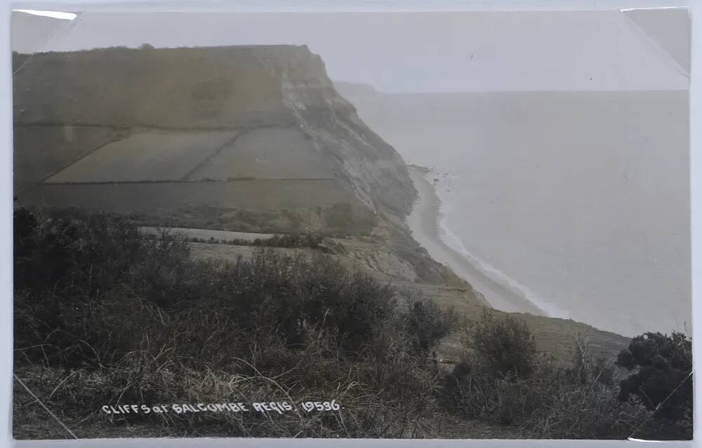 Cliffs at Salcombe Regis