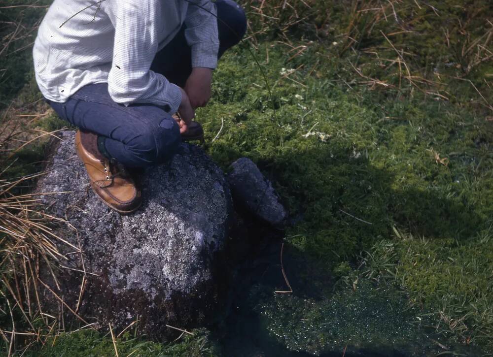 An image from the Dartmoor Trust Archive