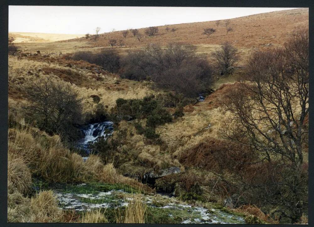 27/9 Bala Brook below Middle Brook foot 29/2/1991