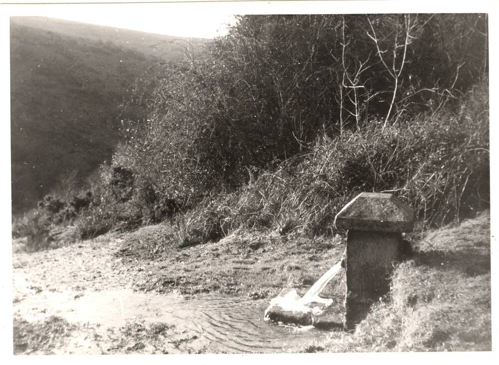 An image from the Dartmoor Trust Archive