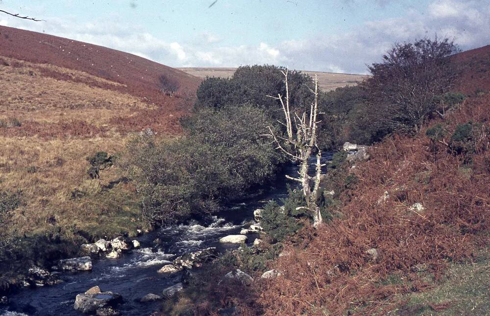 An image from the Dartmoor Trust Archive