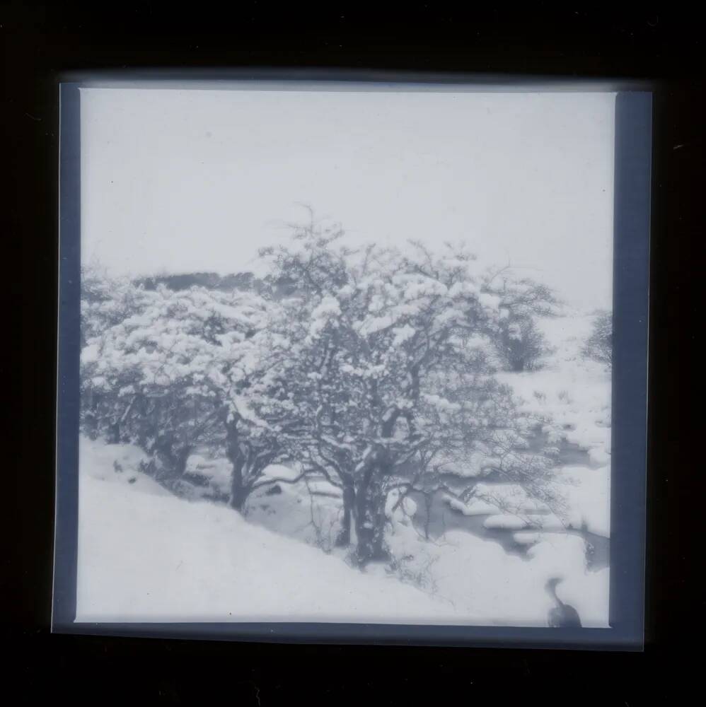 An image from the Dartmoor Trust Archive