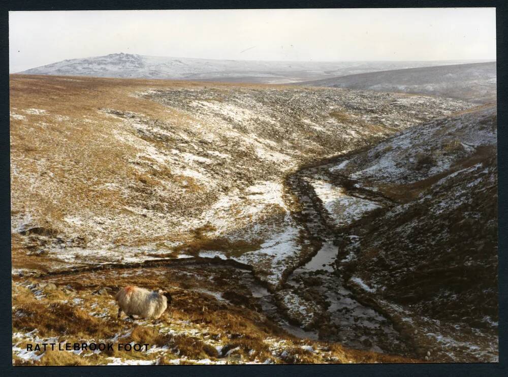 An image from the Dartmoor Trust Archive