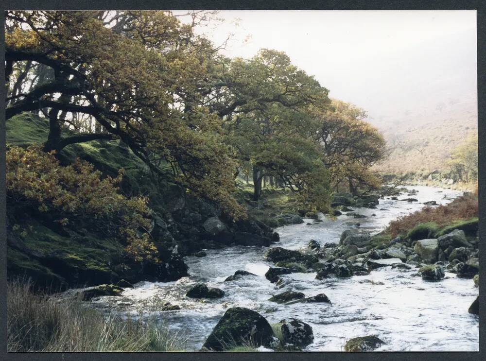 An image from the Dartmoor Trust Archive