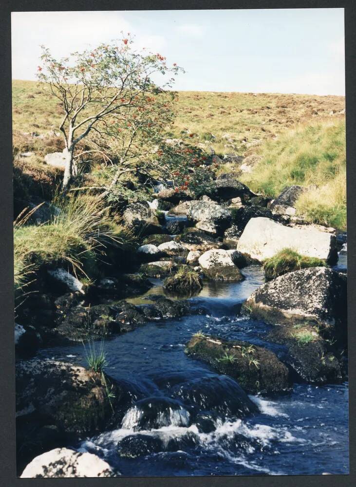 An image from the Dartmoor Trust Archive