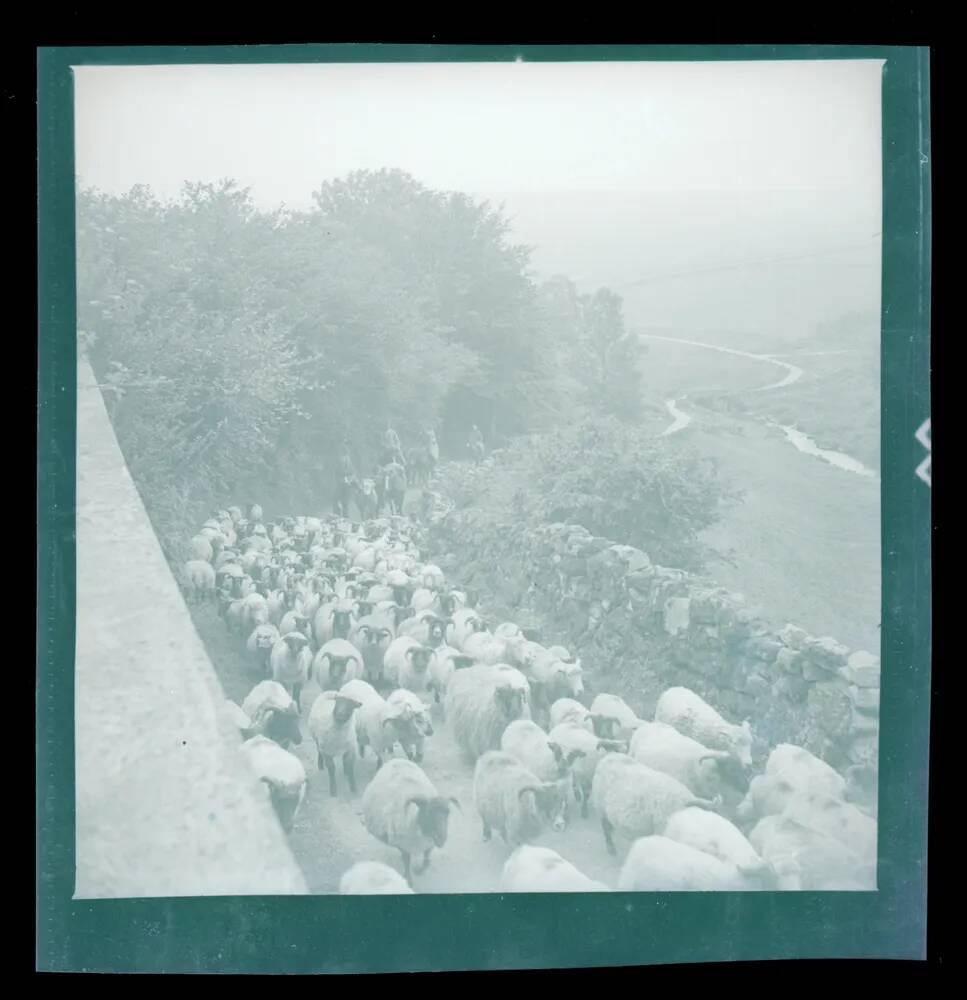 An image from the Dartmoor Trust Archive