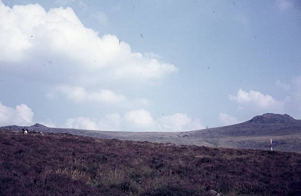 An image from the Dartmoor Trust Archive