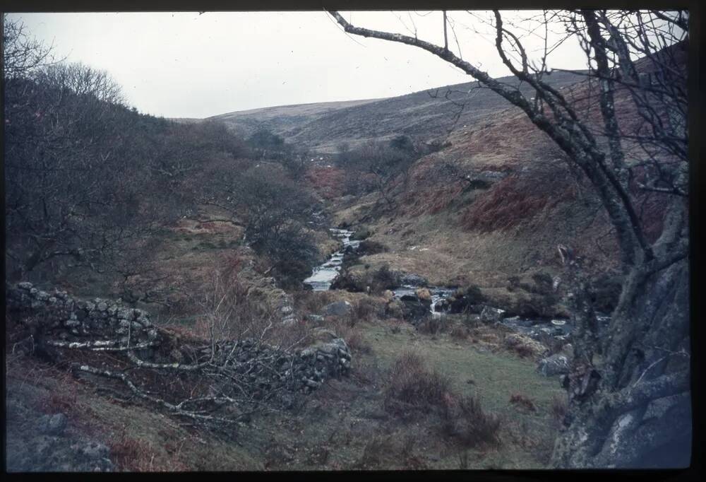 River Yealm - Hawns and moor