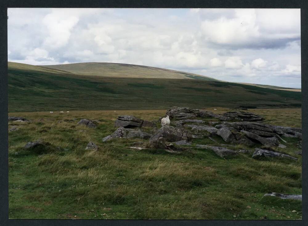 An image from the Dartmoor Trust Archive