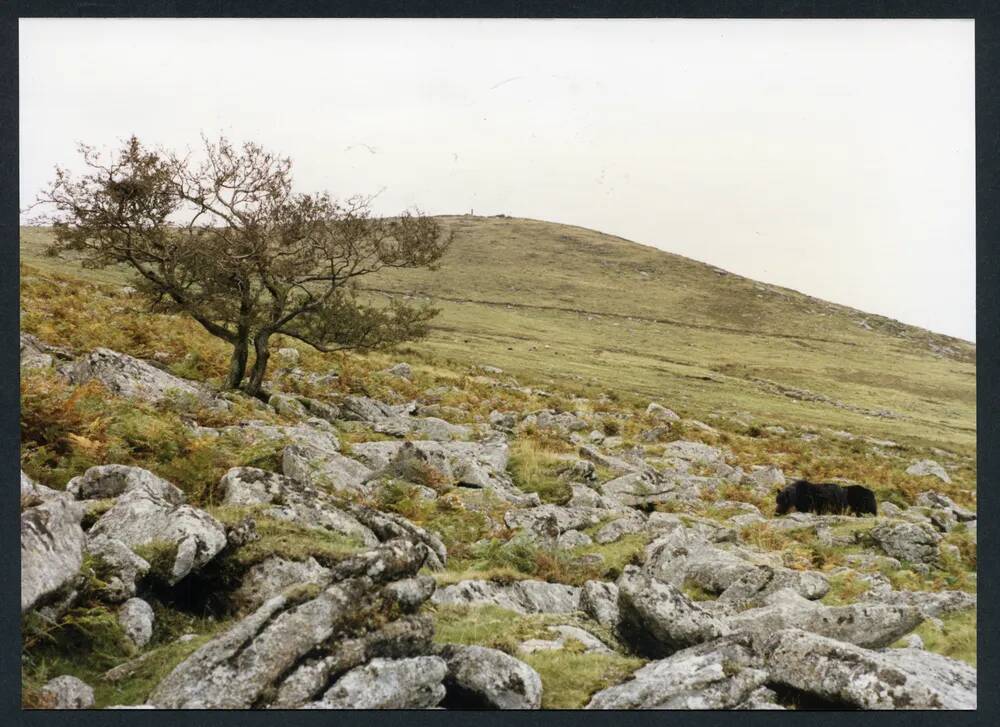 An image from the Dartmoor Trust Archive