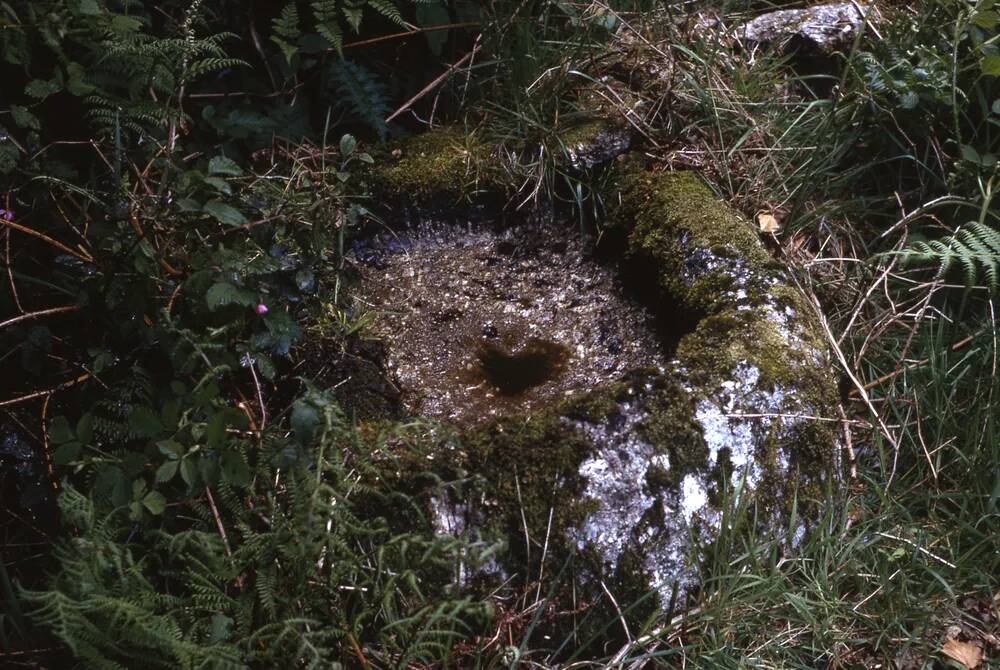 An image from the Dartmoor Trust Archive