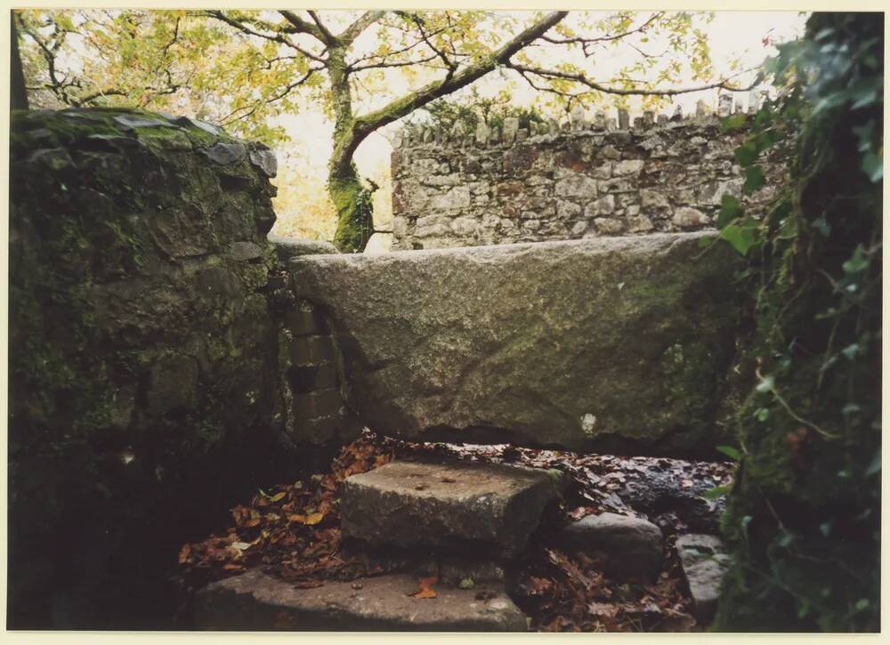 An image from the Dartmoor Trust Archive